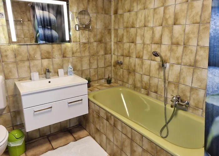 杜塞尔多夫h2公寓 *